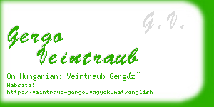 gergo veintraub business card